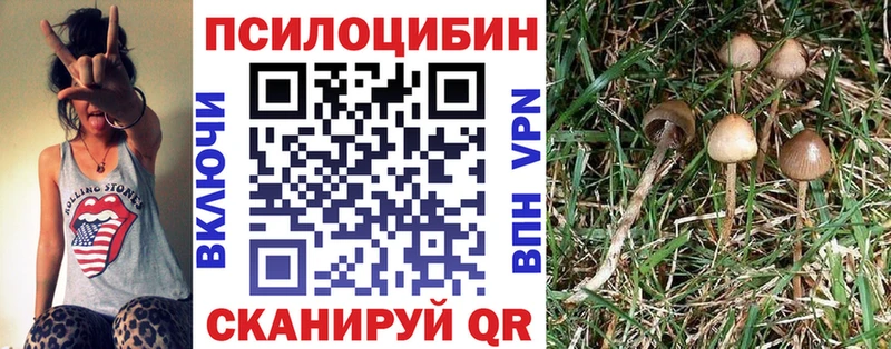 Купить  Буинск  Псилоцибиновые грибы GOLDEN TEACHER 